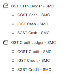 GST Cash and Credit Ledger — Books
